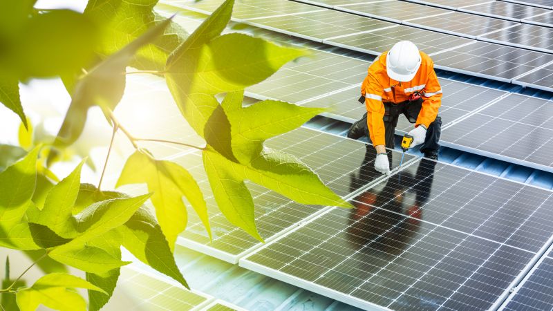 Expert Solar Consultation
